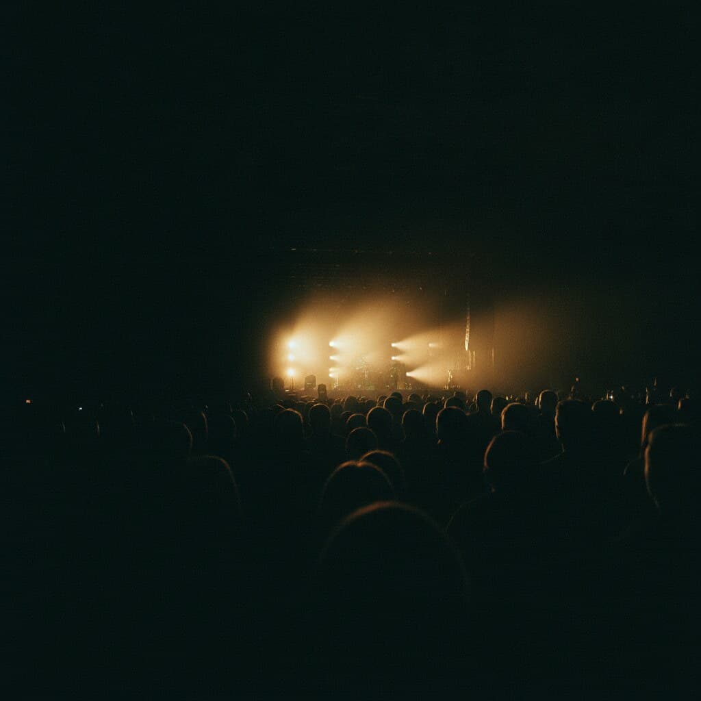 Concert audience seen from behind as dark silhouettes in front of a distant, warmly lit stage.